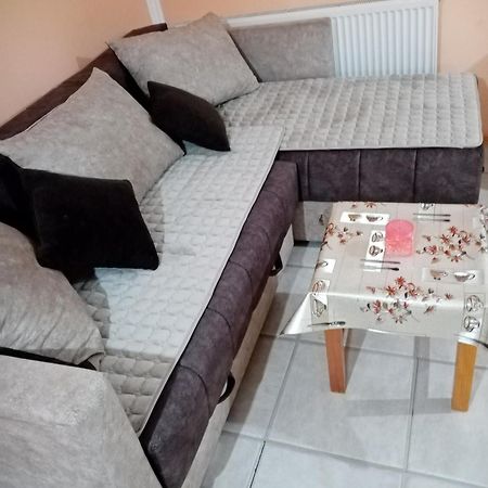 Milica Apartmani Vrdnik Exterior photo