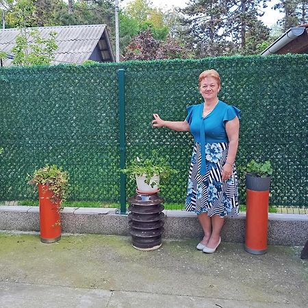Milica Apartmani Vrdnik Exterior photo