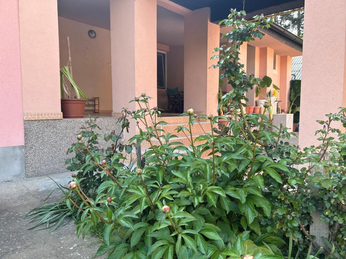 Milica Apartmani Vrdnik Exterior photo