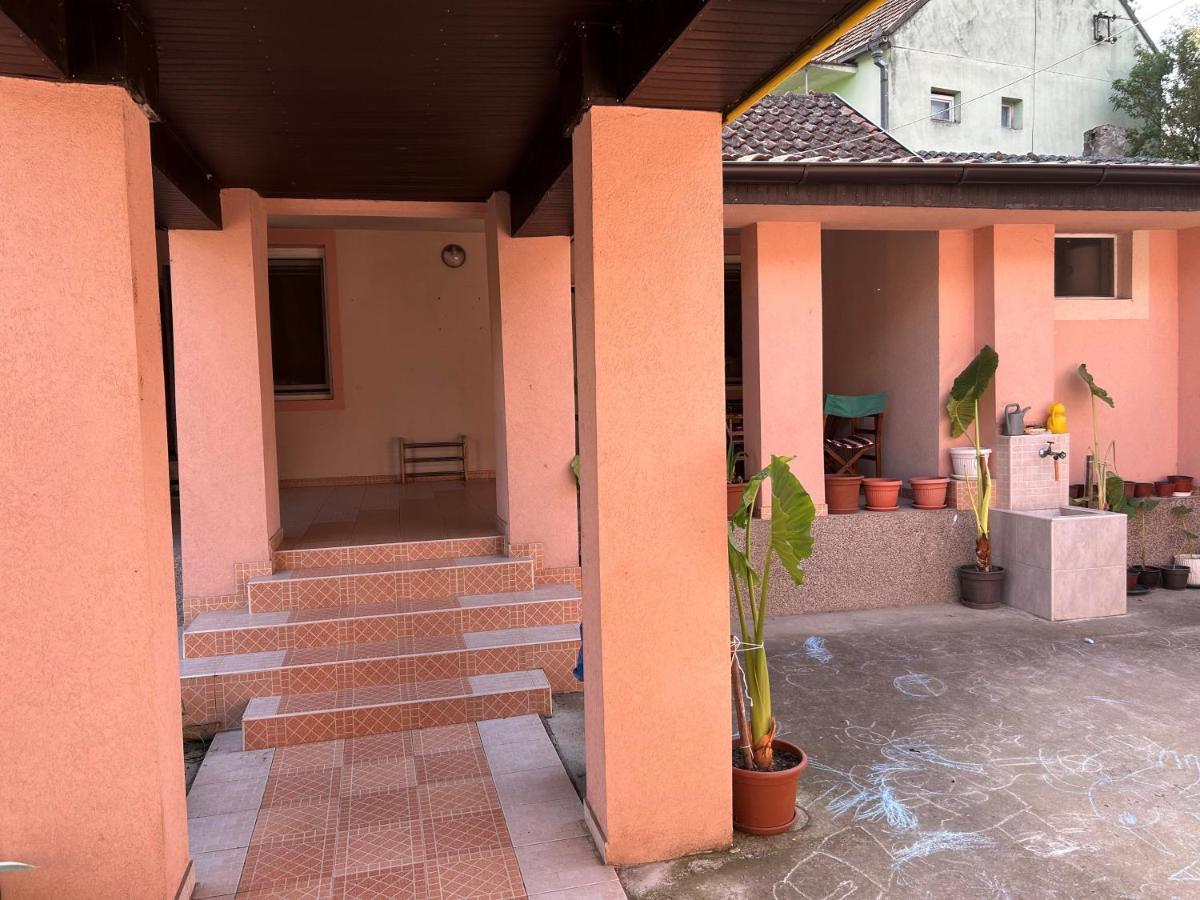 Milica Apartmani Vrdnik Exterior photo
