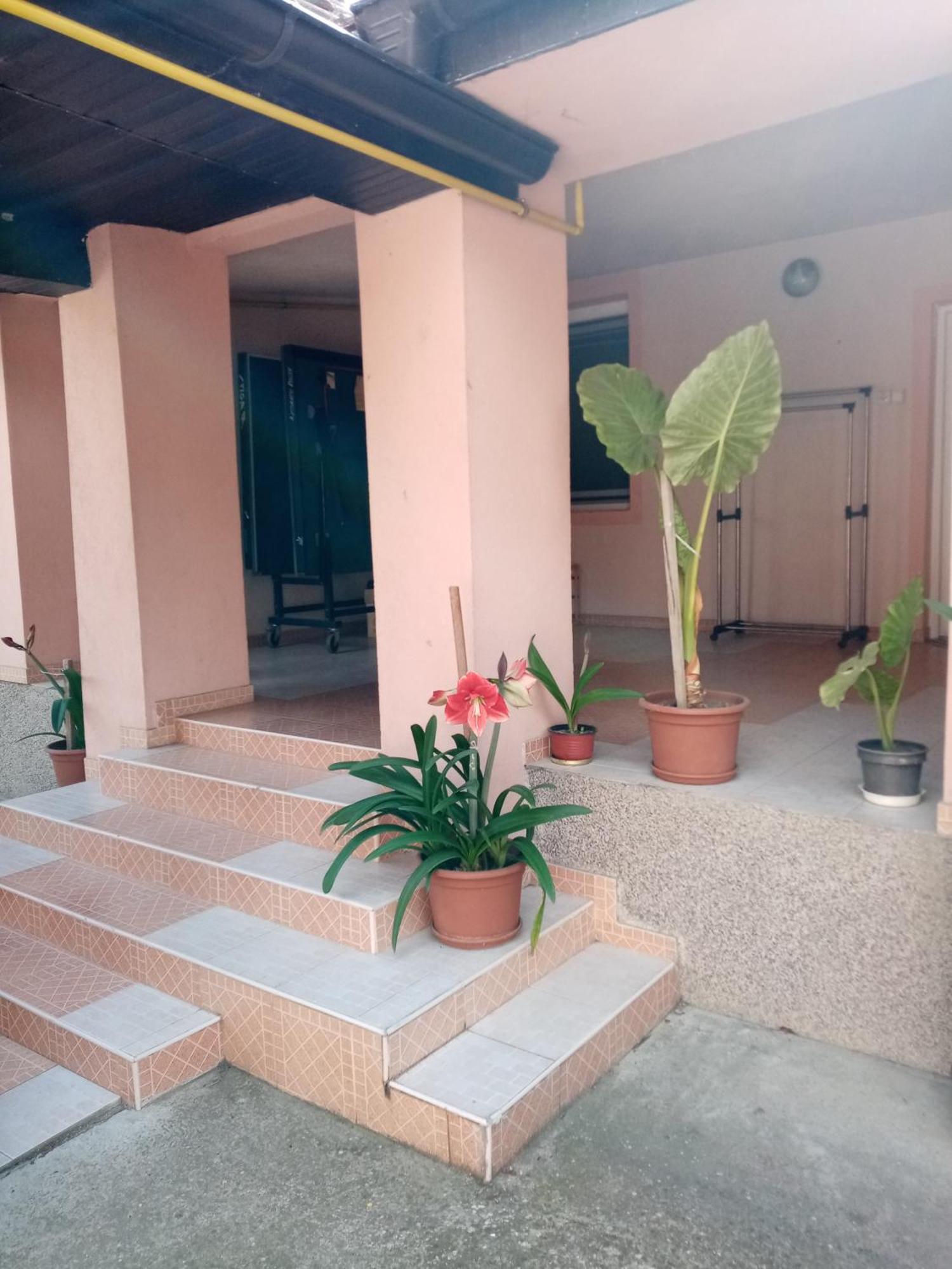 Milica Apartmani Vrdnik Exterior photo