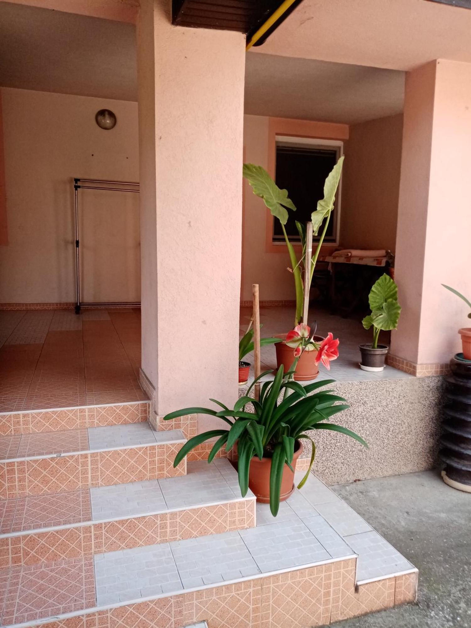 Milica Apartmani Vrdnik Exterior photo