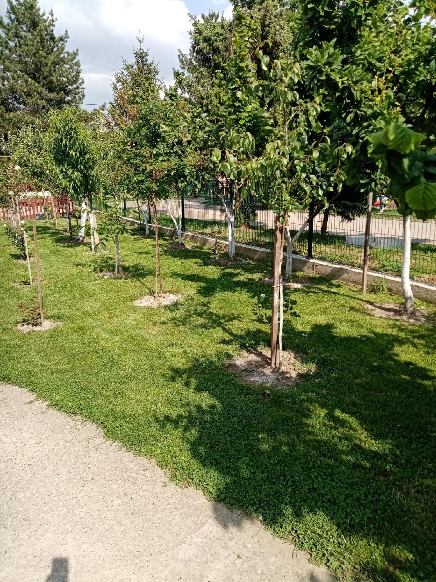 Milica Apartmani Vrdnik Exterior photo