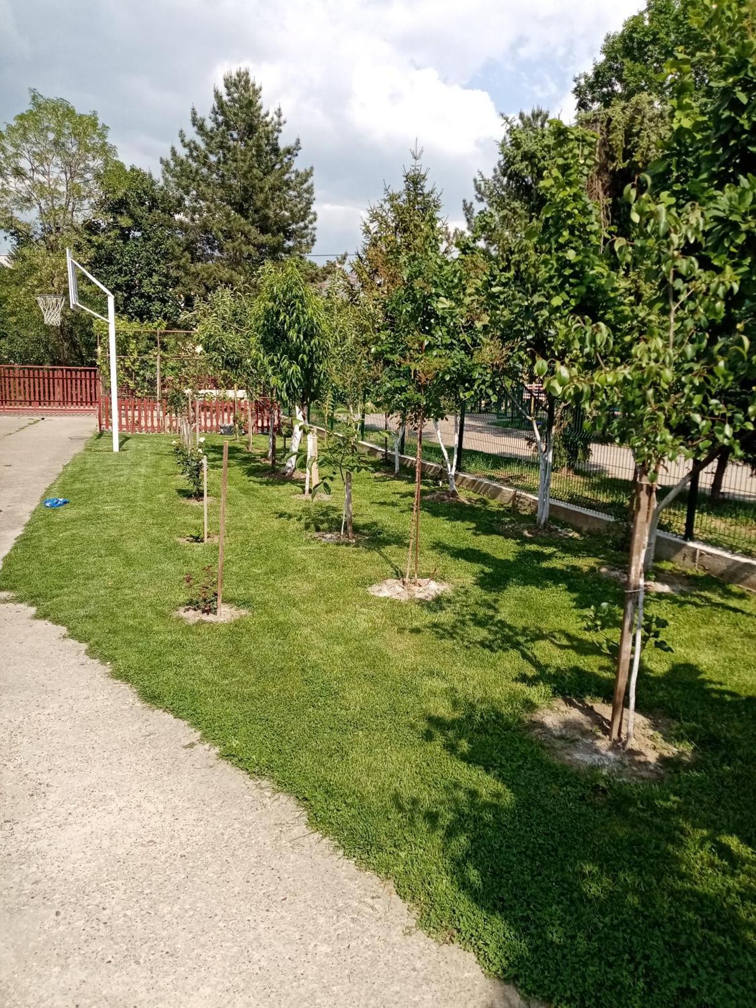 Milica Apartmani Vrdnik Exterior photo