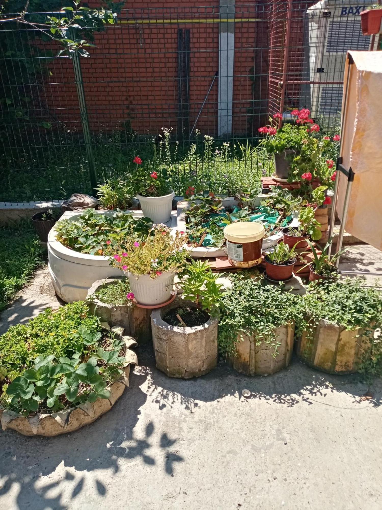 Milica Apartmani Vrdnik Exterior photo