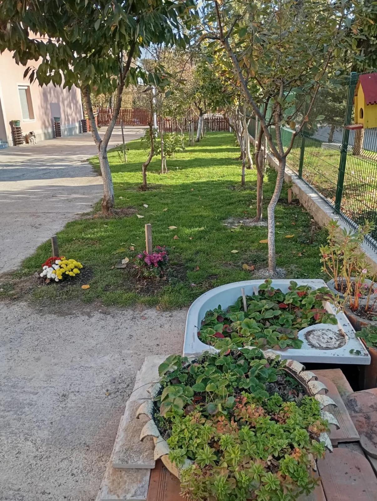 Milica Apartmani Vrdnik Exterior photo