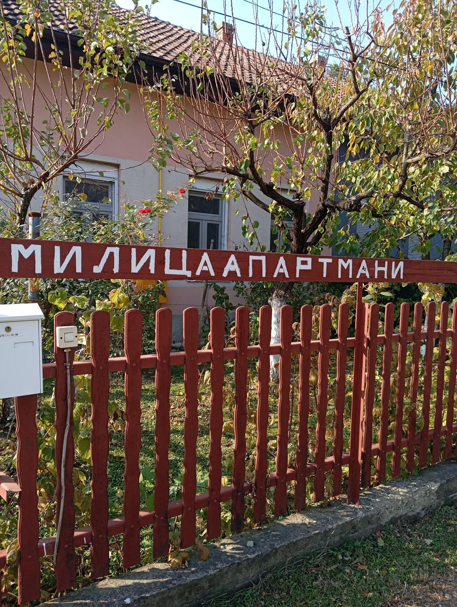 Milica Apartmani Vrdnik Exterior photo