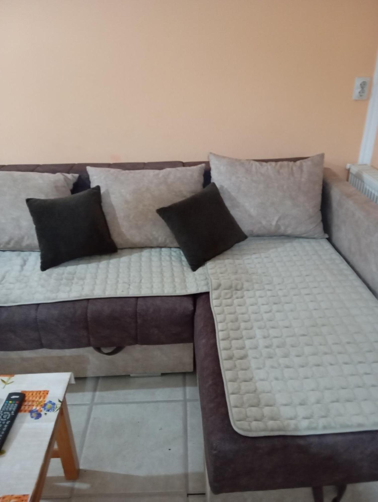 Milica Apartmani Vrdnik Exterior photo